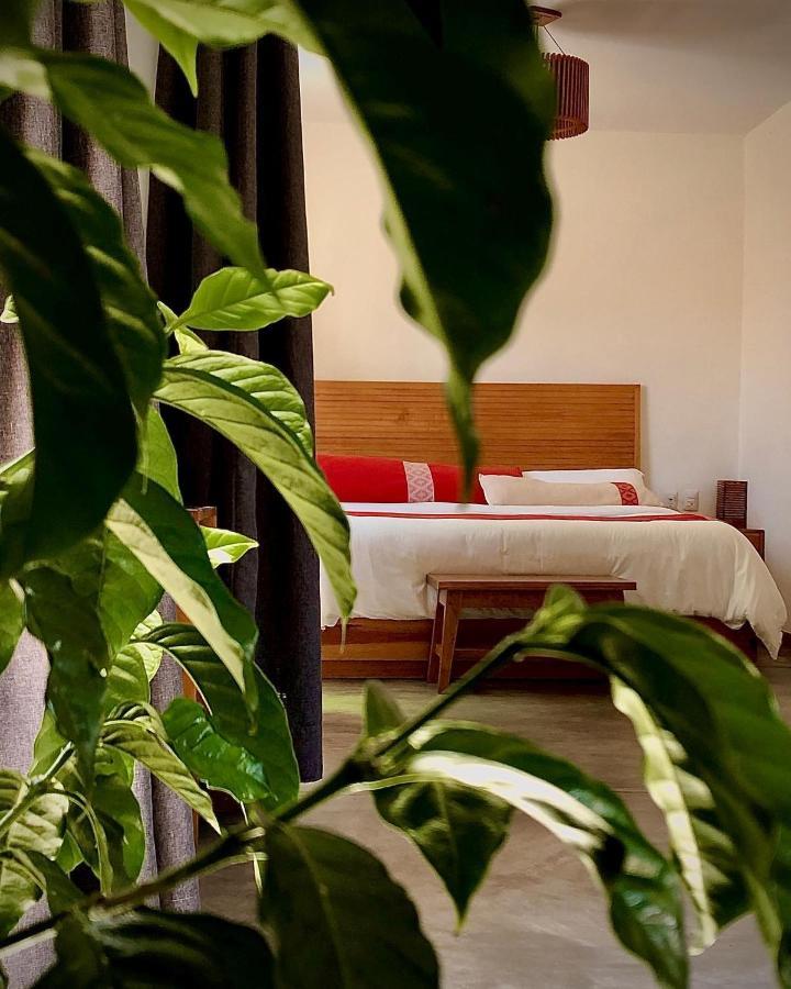 Hotel Casa Cafeologo San Cristóbal de Las Casas Exteriér fotografie