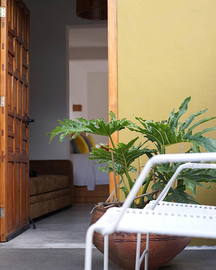 Hotel Casa Cafeologo San Cristóbal de Las Casas Exteriér fotografie